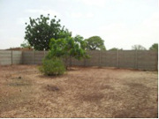 CWO_Burkina Faso wall 04-24-13.jpg