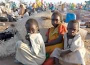wvidarfur.jpg