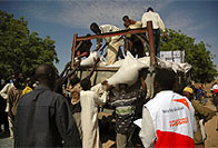Believers tackle Niger famine: next few months critical.