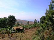 Rains Ravage Burundi’s Food Supply