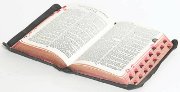 CRI stocks small seminary library in Lebanon