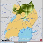 Uganda fights off Yellow Fever oubreak