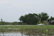 Flood toll rising in the Philippines