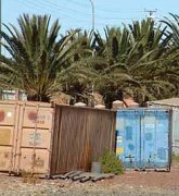 Two more Christians die in Eritrea’s military camps