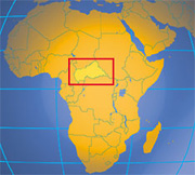 Rebels take over CAR, president flees