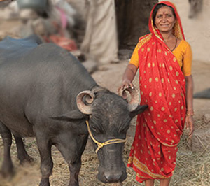 Who will receive a life-changing gift in India?
