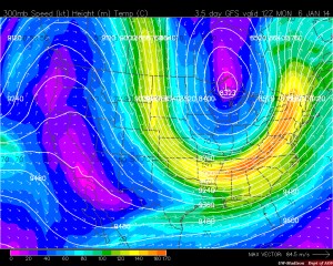 The polar vortex plunged most of the U.S. into record lows earlier this week.  (Screenshot courtesy Grand Rapids, Michigan's Fox17 News)