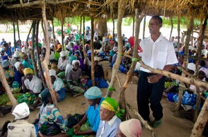 (Image courtesy GAiN)