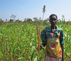 (Photo courtesy World Renew)