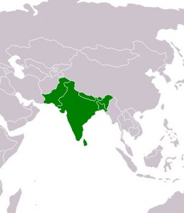 South Asia highlighted in green. (Map courtesy WIkimedia Commons)