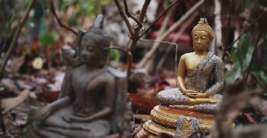 Screen shot of COMMNET's video, Idols.