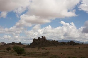 (Photo cred: John Schuler)