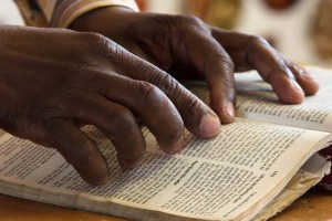 Bible translation