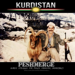 (Photo cred: Jan Seftl via Flickr)