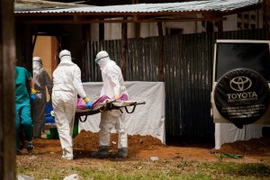 (Photo courtesy SIM)