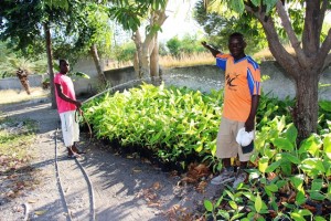 (Photo cred: MNN/Katey Hearth)