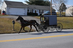 Amish carriage 