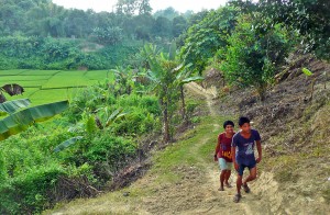 (Photo courtesy FMI)