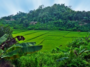 (Photo courtesy FMI)