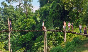 (Photo courtesy FMI) 