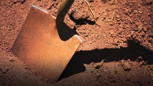 (Screenshot captured from Paradise Bound video)