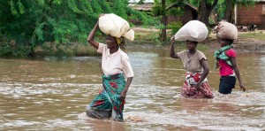 (Photo courtesy World Renew)