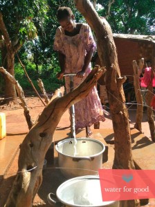 (Image courtesy of Water for Good)