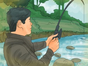 (Illustration Wikihow)