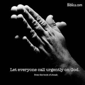 (Photo courtesy of Biblica)