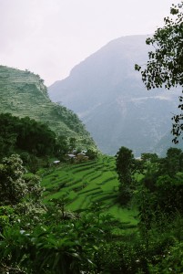 Terrace farming in Nepal (Wikipedia)