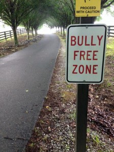 (Photo courtesy of Family Christian)