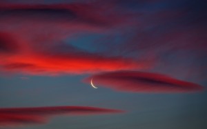 (Photo credit: Eugen Nalman via Flickr)