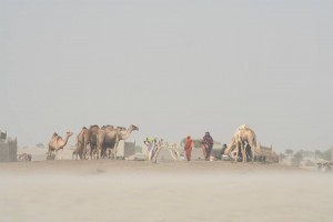 (Photo courtesy Frontiers)