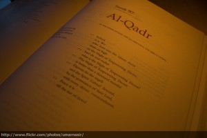 (Photo credit: Umar Nasir via Flickr)