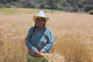 (Photo courtesy Jim and Jamie Loker)