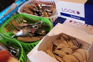 (Photo credit: MNN/Katey Hearth)