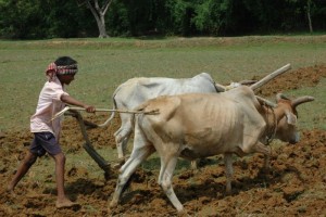 Photo Courtesy Mission India
