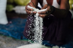 (Photo courtesy Partners Relief and Development)