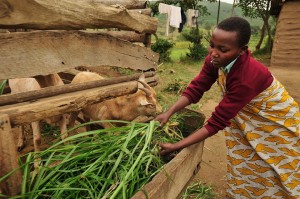 (Photo courtesy Compassion International via Facebook)