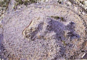 muslims mecca hajj