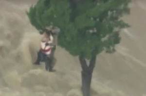 (Screen capture courtesy TV Tokyo) 