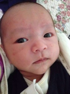 (Photo courtesy LIFE International) 