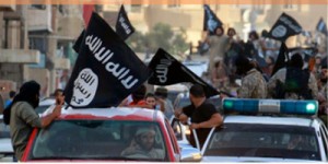 (Photo courtesy PIONEERS)