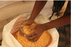 Screen Shot 2016-02-15 at 3.03.43 PM