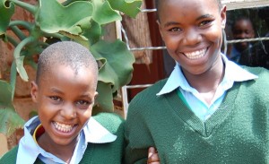 DSC_0344-cropped-600x365