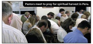 (Photo courtesy WMP) 