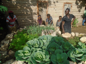 Dieuseul ANGER lives in Belladere, Haiti. He has twelve (12) kids. He was able to help his family thanks to the implementation of a keyhole garden