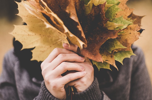 Healing at the broken Thanksgiving table