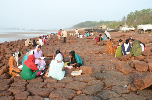 (Photo courtesy of India Partners).