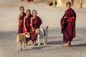 Buddhist, Buddhism, boys, Myanmar, Burma